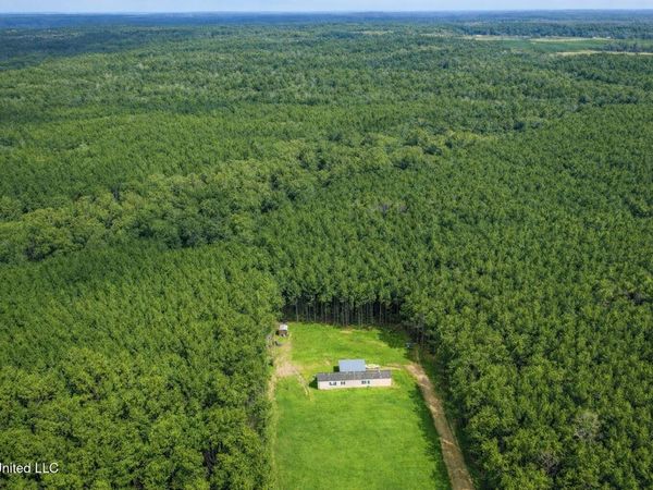 3774 Mississippi 550, Wesson, MS 39191