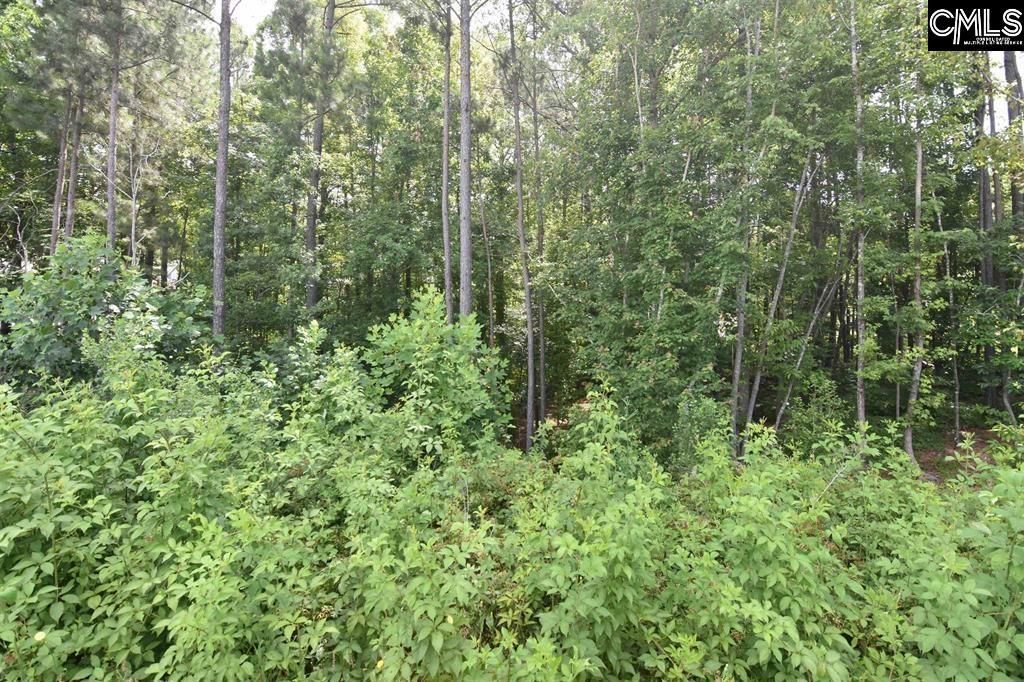 0 Longview Drive  Photo 15