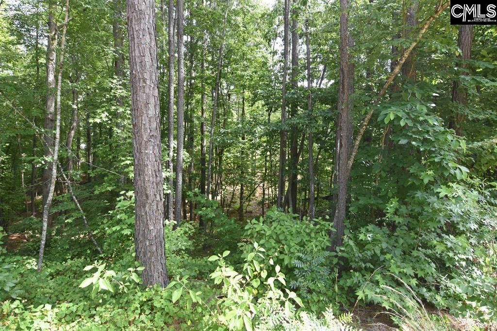 0 Longview Drive  Photo 16