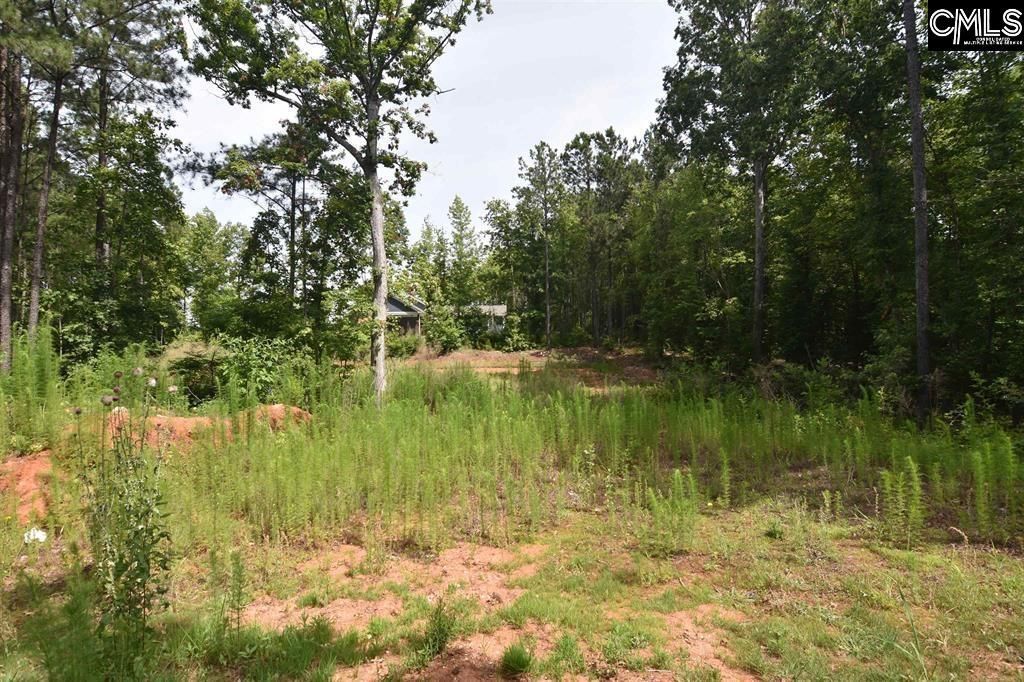 0 Longview Drive  Photo 17