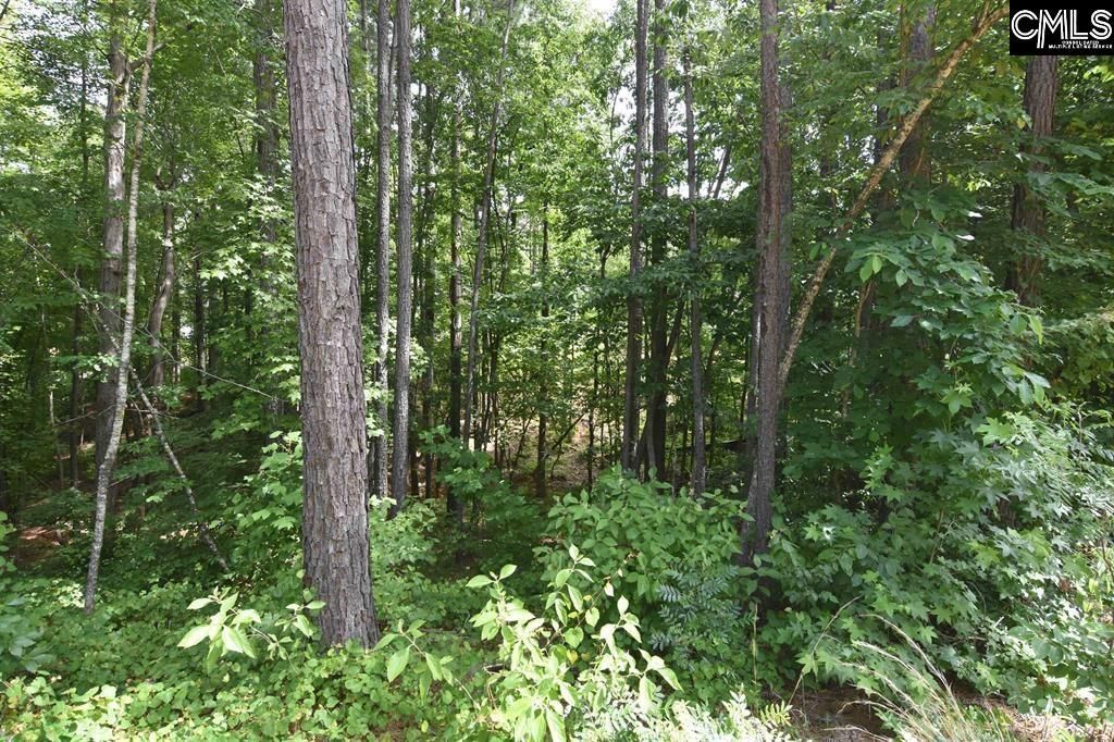 0 Longview Drive  Photo 4