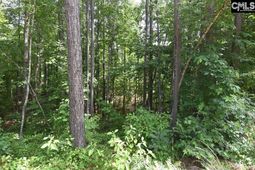 0 Longview Drive  photo 4