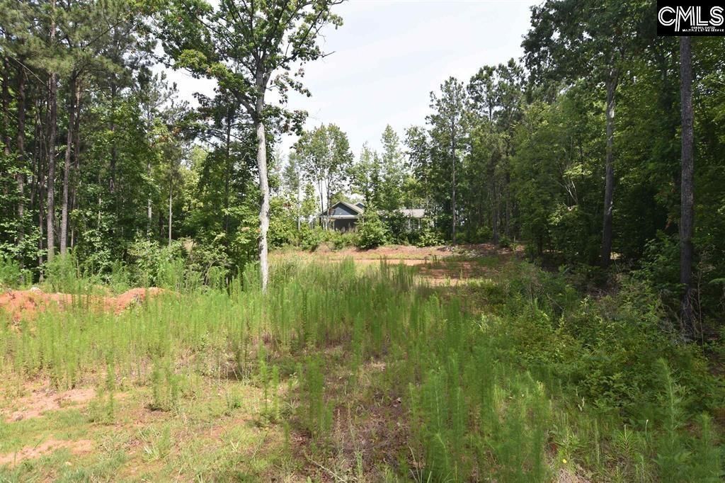 0 Longview Drive  Photo 5