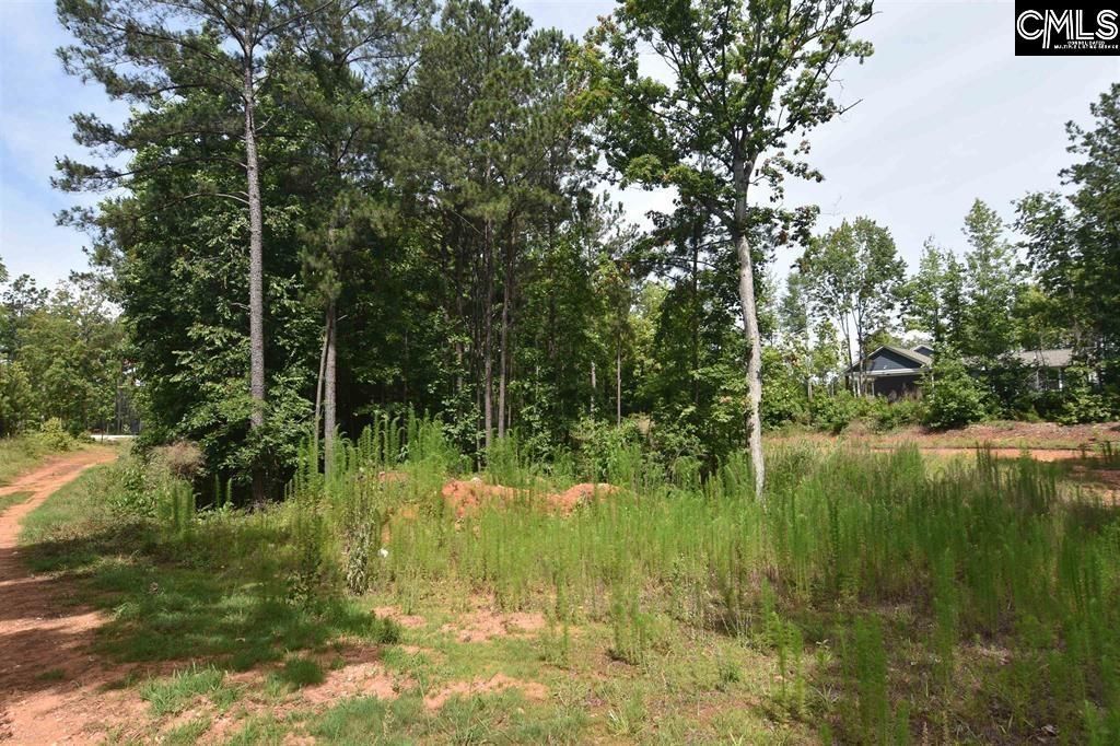 0 Longview Drive  Photo 7