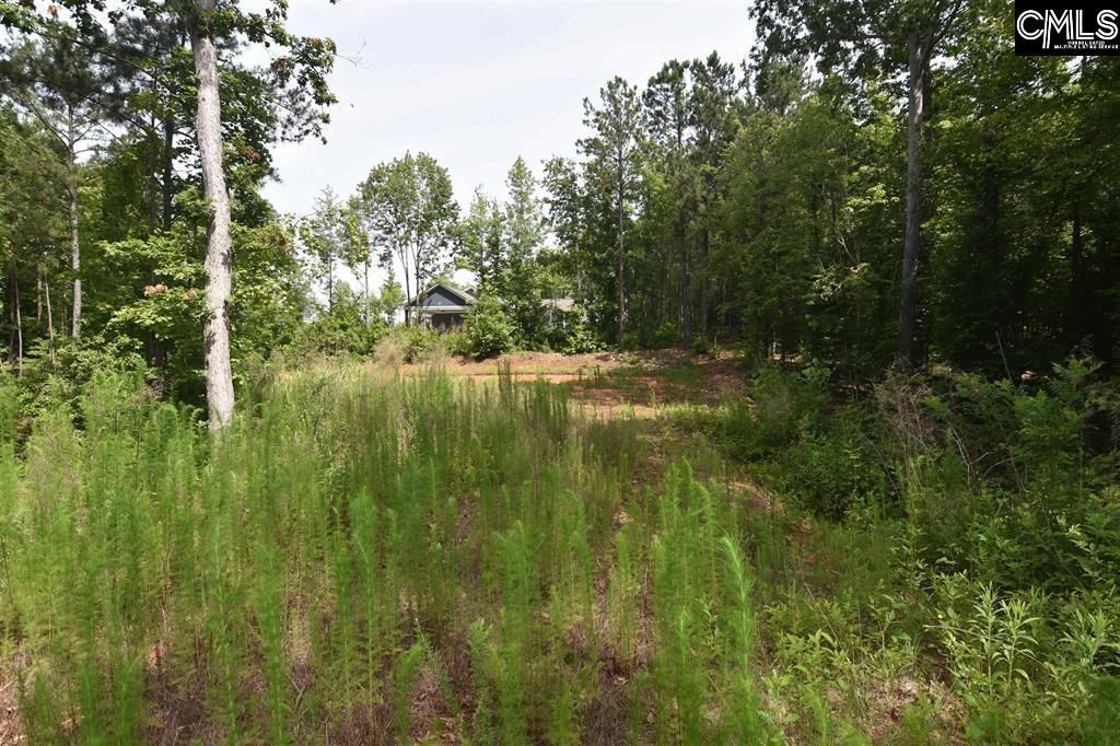 0 Longview Drive  Photo 9