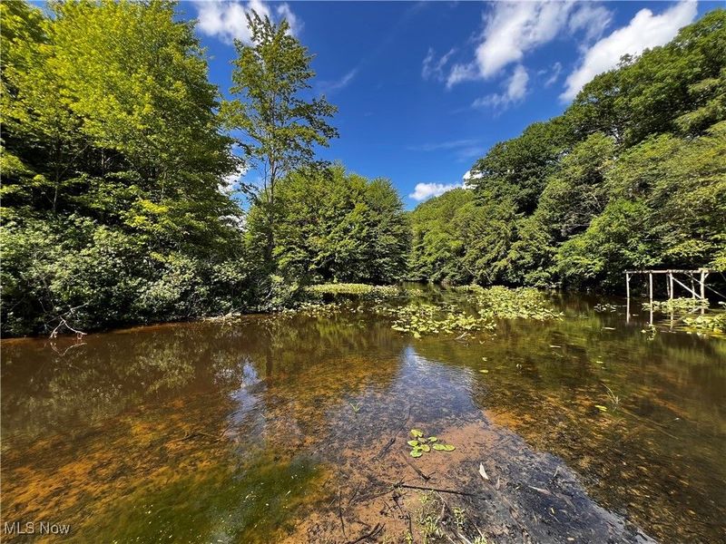 17506 Leggett Road, Montville, OH 44064 Photo 33