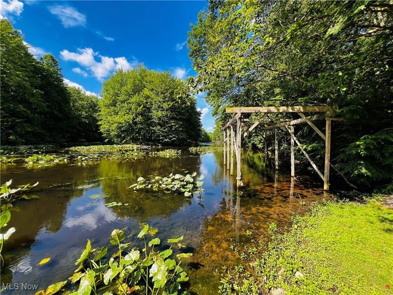 17506 Leggett Road, Montville, OH 44064 Photo 34