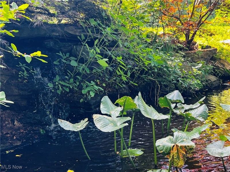 17506 Leggett Road, Montville, OH 44064 Photo 40