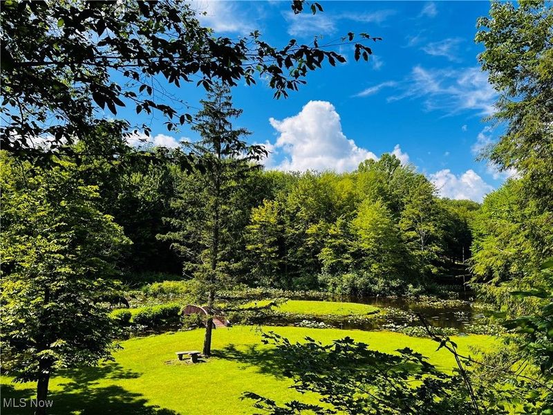 17506 Leggett Road, Montville, OH 44064 Photo 46