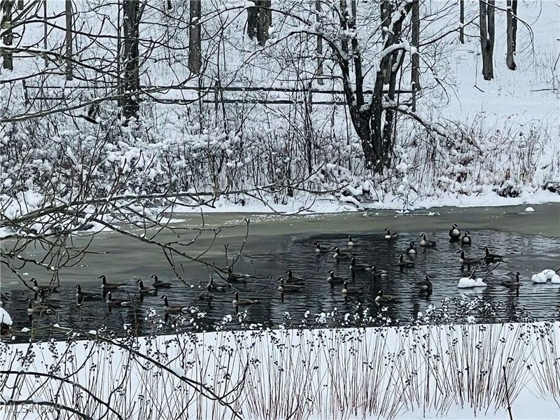 17506 Leggett Road, Montville, OH 44064 Photo 49