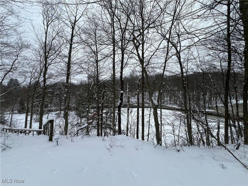 17506 Leggett Road, Montville, OH 44064 Photo 50