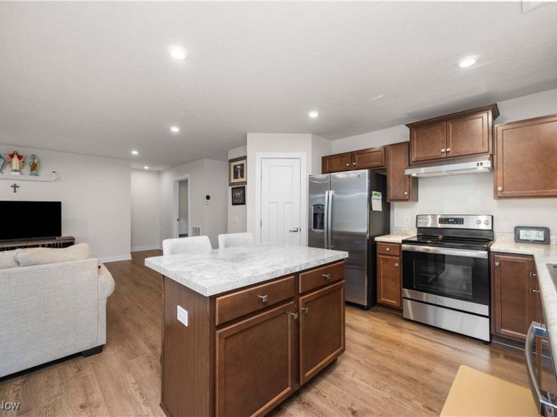 133 W Spring Drive, Elyria, OH 44035 Photo 14