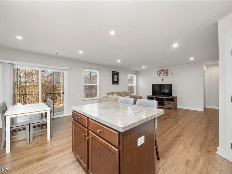 133 W Spring Drive, Elyria, OH 44035 Photo 15