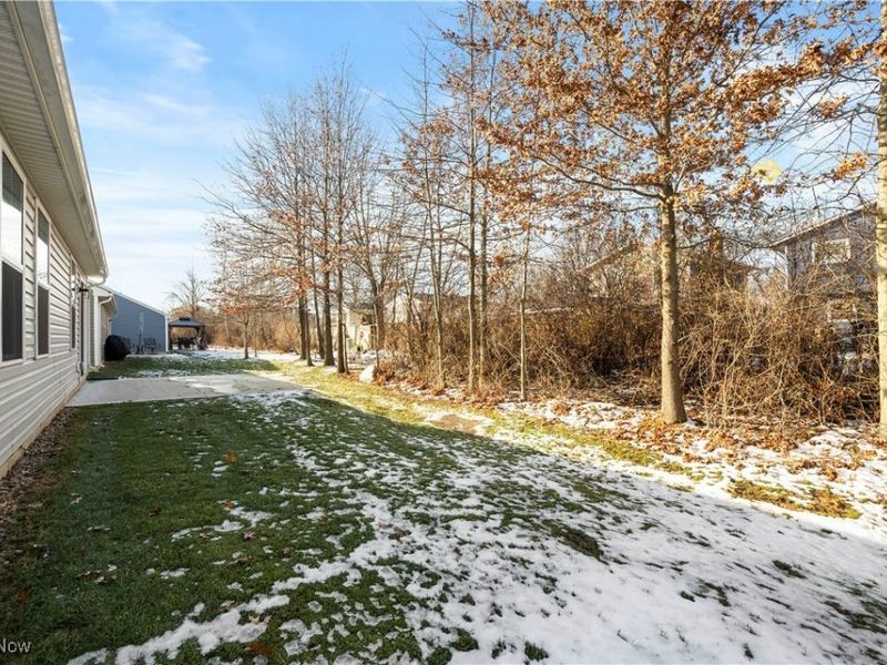 133 W Spring Drive, Elyria, OH 44035 Photo 34