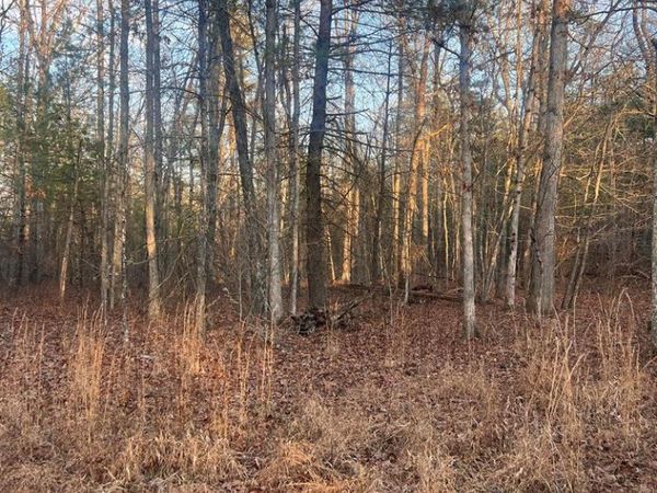 7003 Talahatchie Dr, Crossville, TN 38572