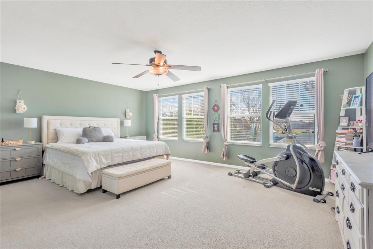 18345 Fish Loop, Land O Lakes, FL 34638 Photo