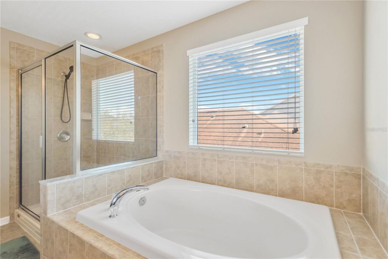 18345 Fish Loop, Land O Lakes, FL 34638 Photo