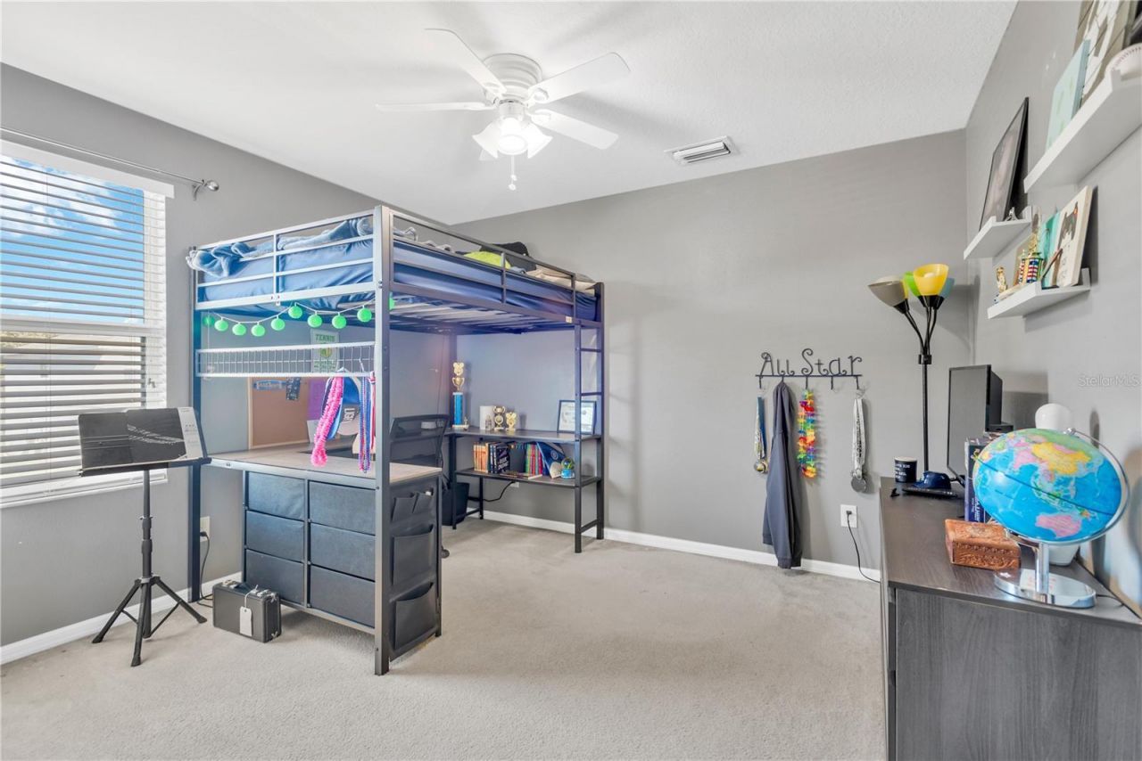18345 Fish Loop, Land O Lakes, FL 34638 Photo