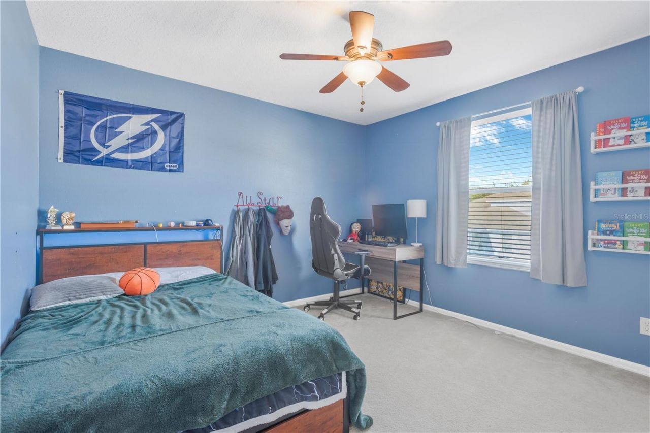18345 Fish Loop, Land O Lakes, FL 34638 Photo