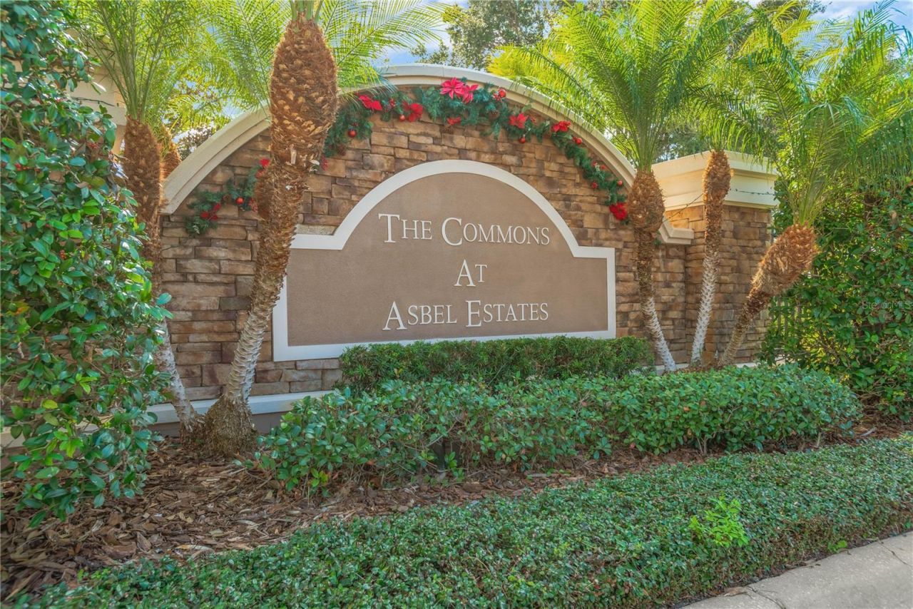 18345 Fish Loop, Land O Lakes, FL 34638 Photo