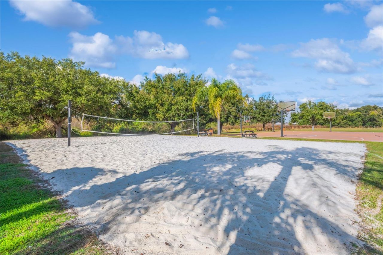 18345 Fish Loop, Land O Lakes, FL 34638 Photo
