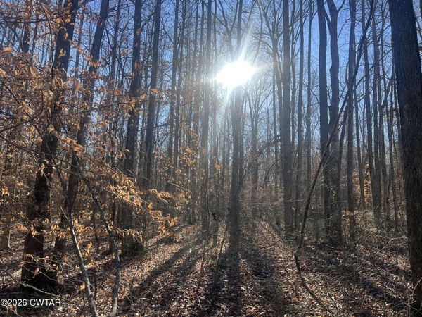 0 Excalibur Trail (Lot 261) , Cedar Grove, TN 38321