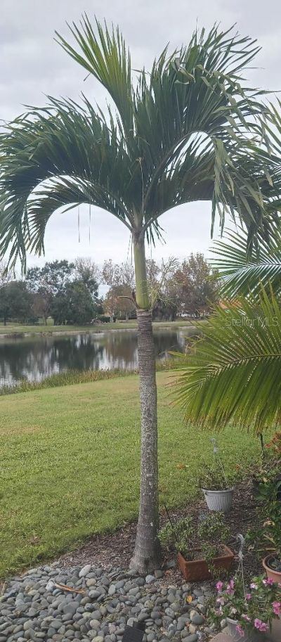 6650 Willowshire Way, Bradenton, FL 34212 Photo