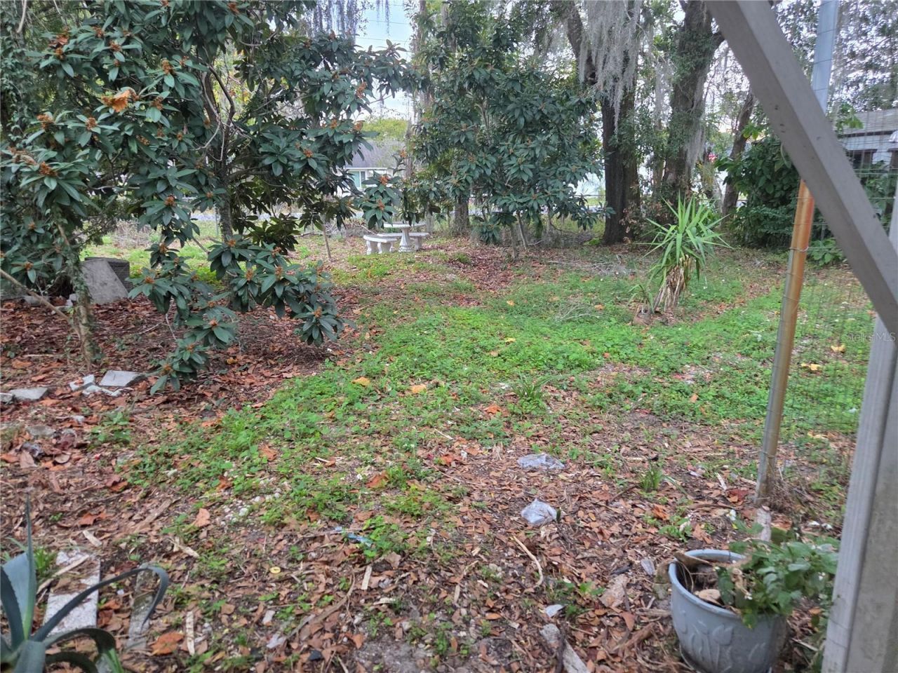 38201 10th Avenue, Zephyrhills, FL 33542 Photo