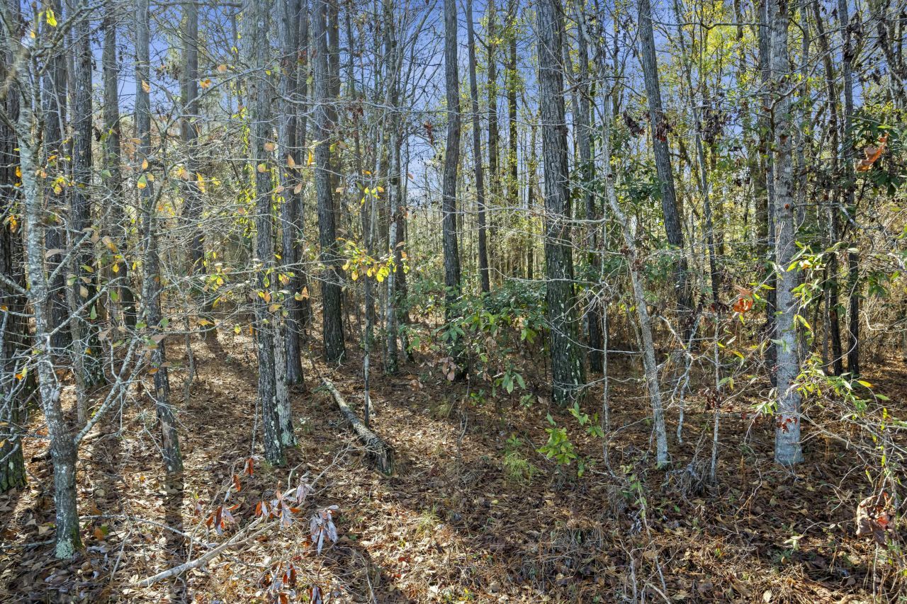 123 State Road Photo 13