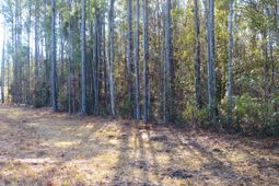 123 State Road photo 4