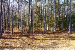 123 State Road photo 4