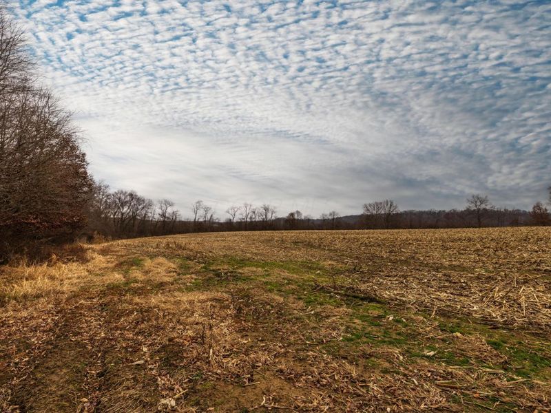 0 Carpenter Road, Albany, OH 45710 Photo 11