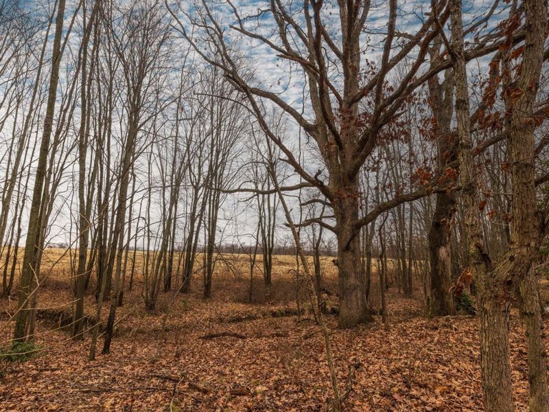 0 Carpenter Road, Albany, OH 45710 Photo 12