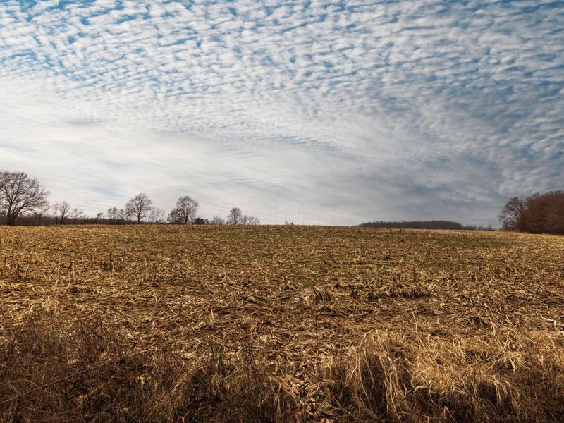 0 Carpenter Road, Albany, OH 45710 Photo 13