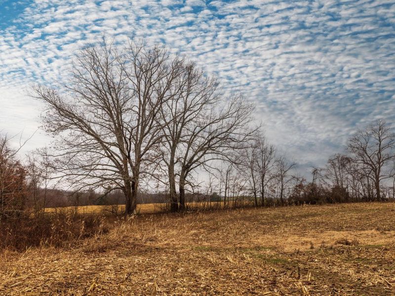 0 Carpenter Road, Albany, OH 45710 Photo 14