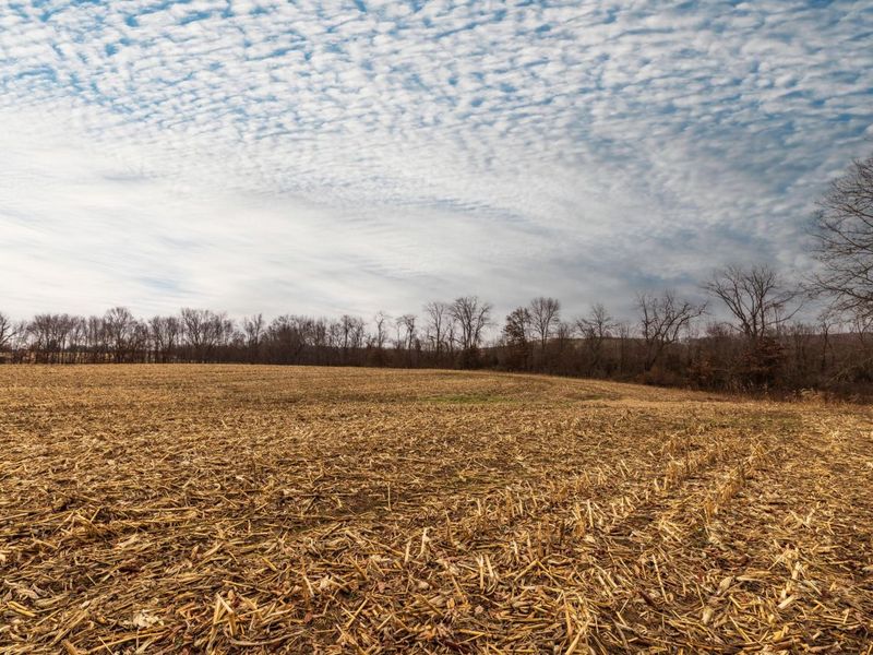 0 Carpenter Road, Albany, OH 45710 Photo 17