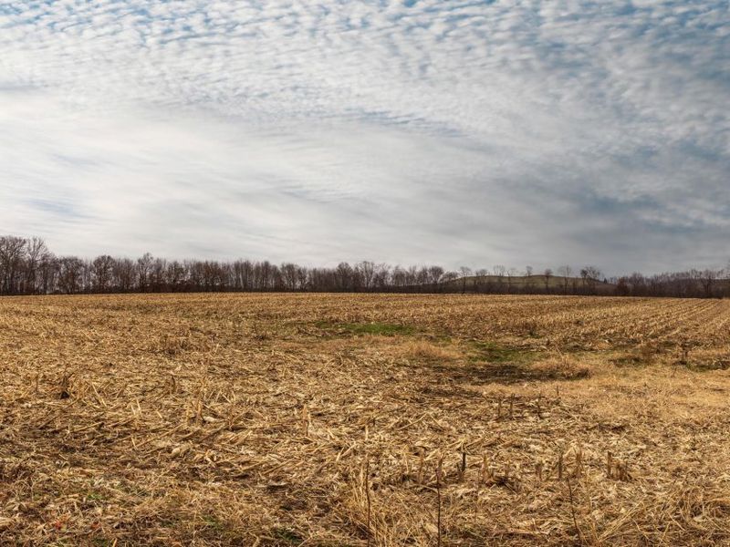 0 Carpenter Road, Albany, OH 45710 Photo 18