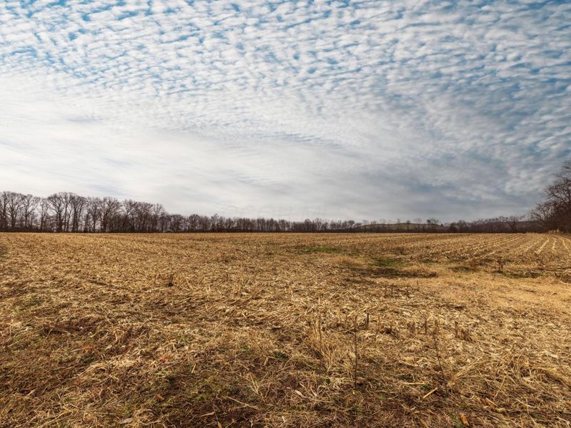 0 Carpenter Road, Albany, OH 45710 Photo 19