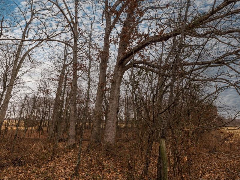 0 Carpenter Road, Albany, OH 45710 Photo 8