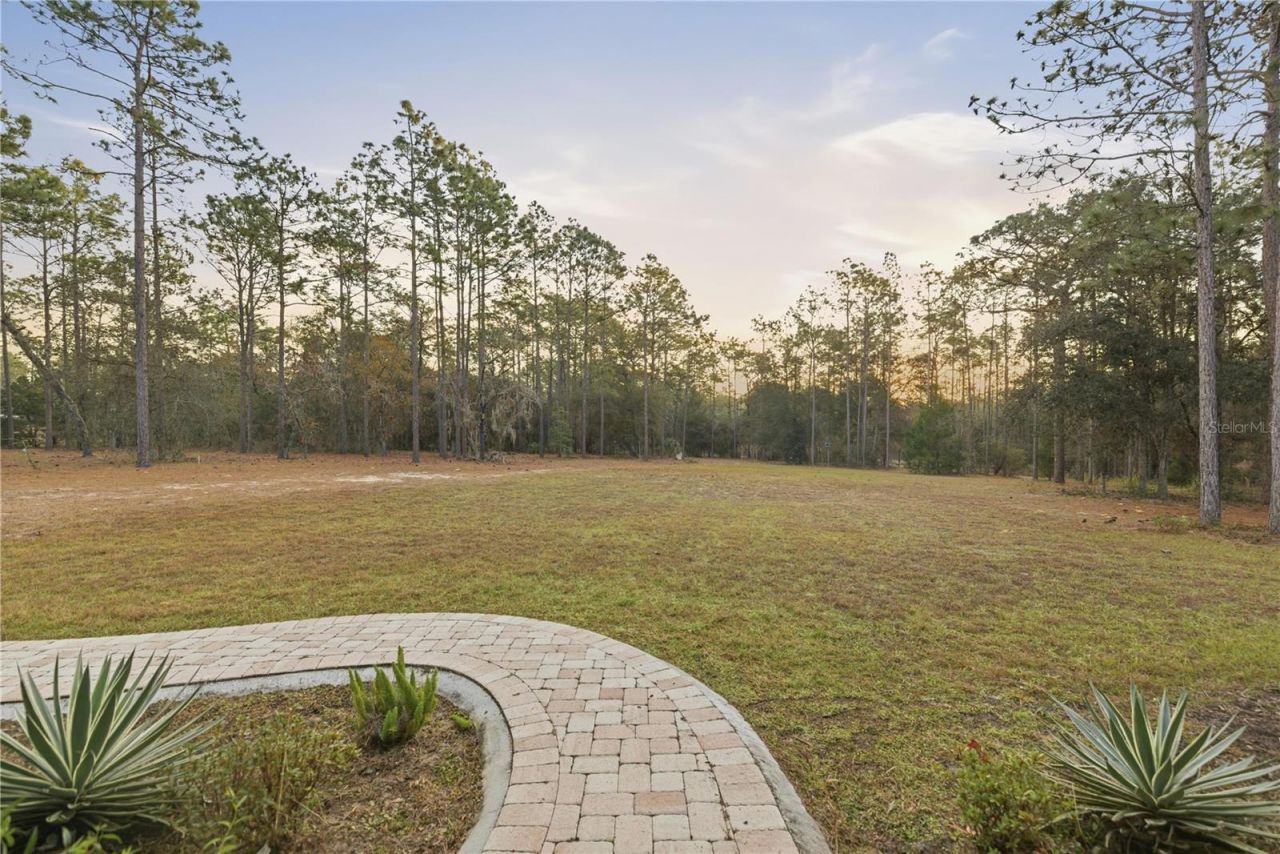 12028 S Pine Oak Terrace, Floral City, FL 34436 Photo