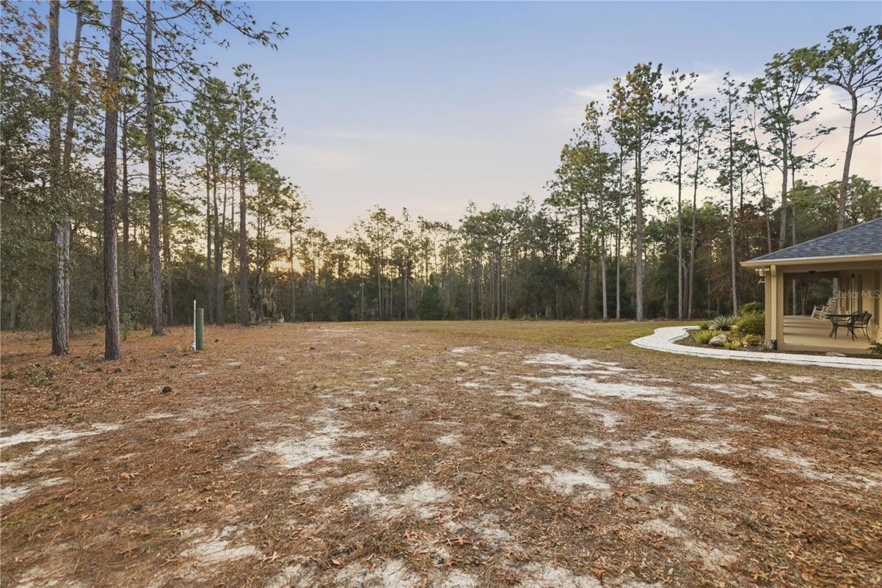 12028 S Pine Oak Terrace, Floral City, FL 34436 Photo