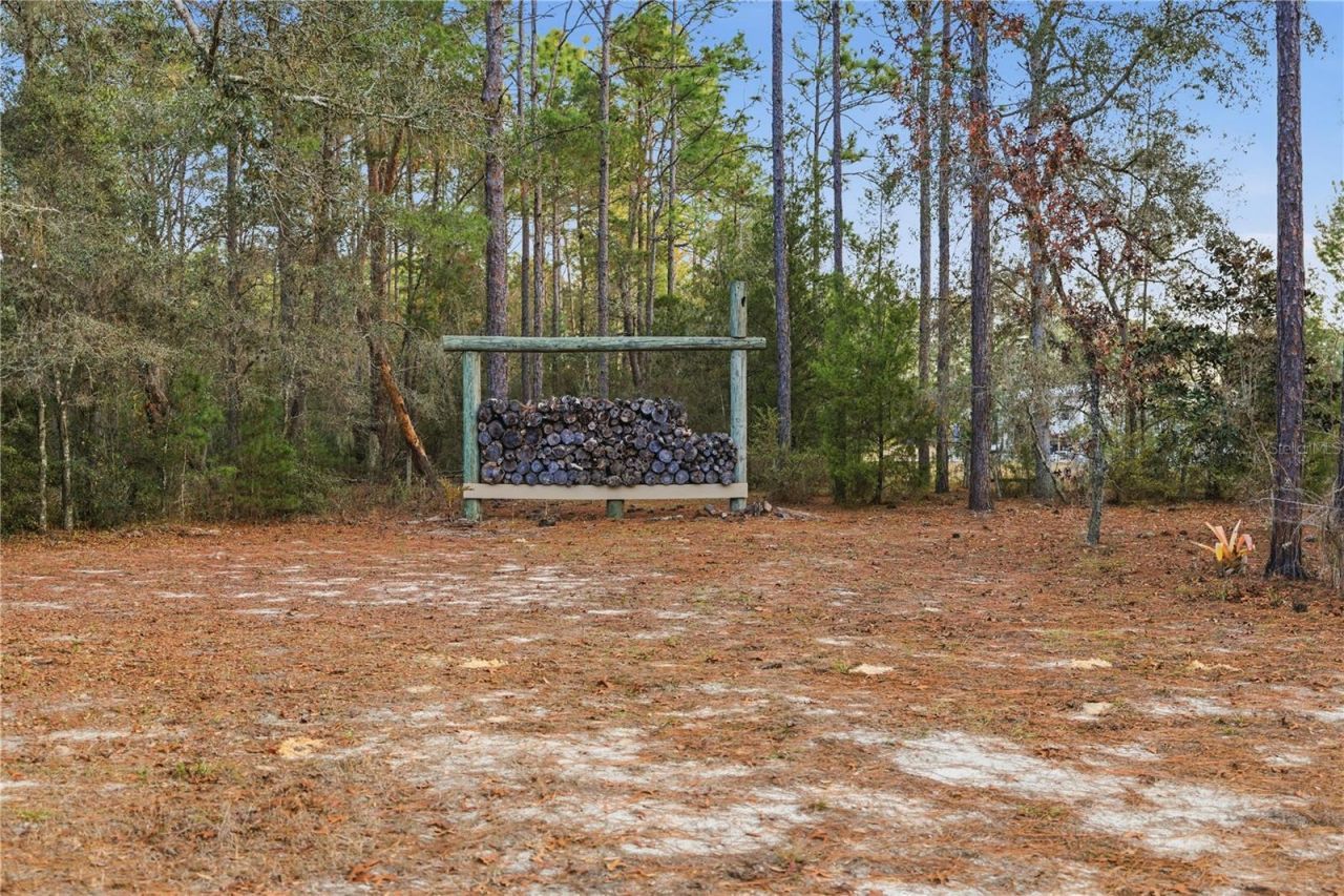 12028 S Pine Oak Terrace, Floral City, FL 34436 Photo