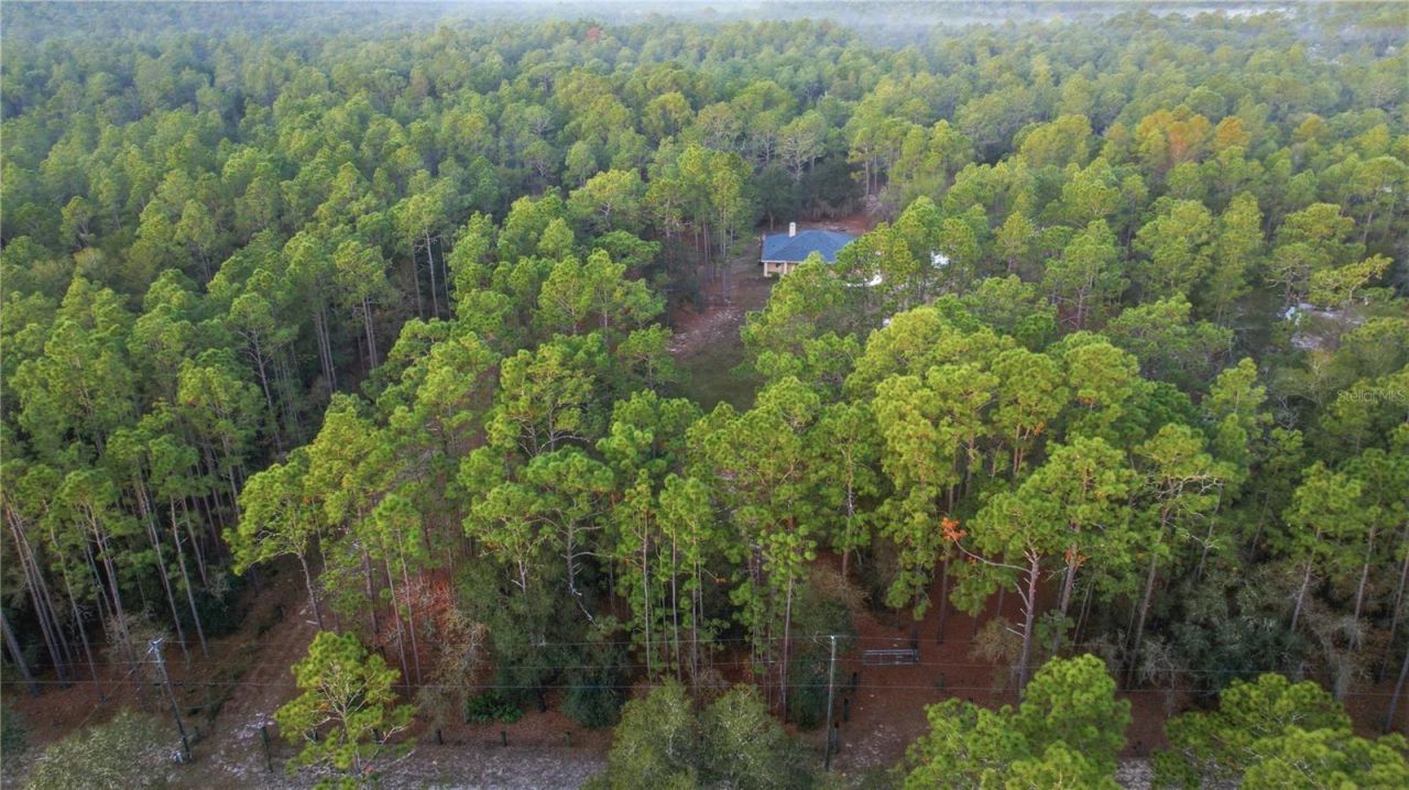 12028 S Pine Oak Terrace, Floral City, FL 34436 Photo