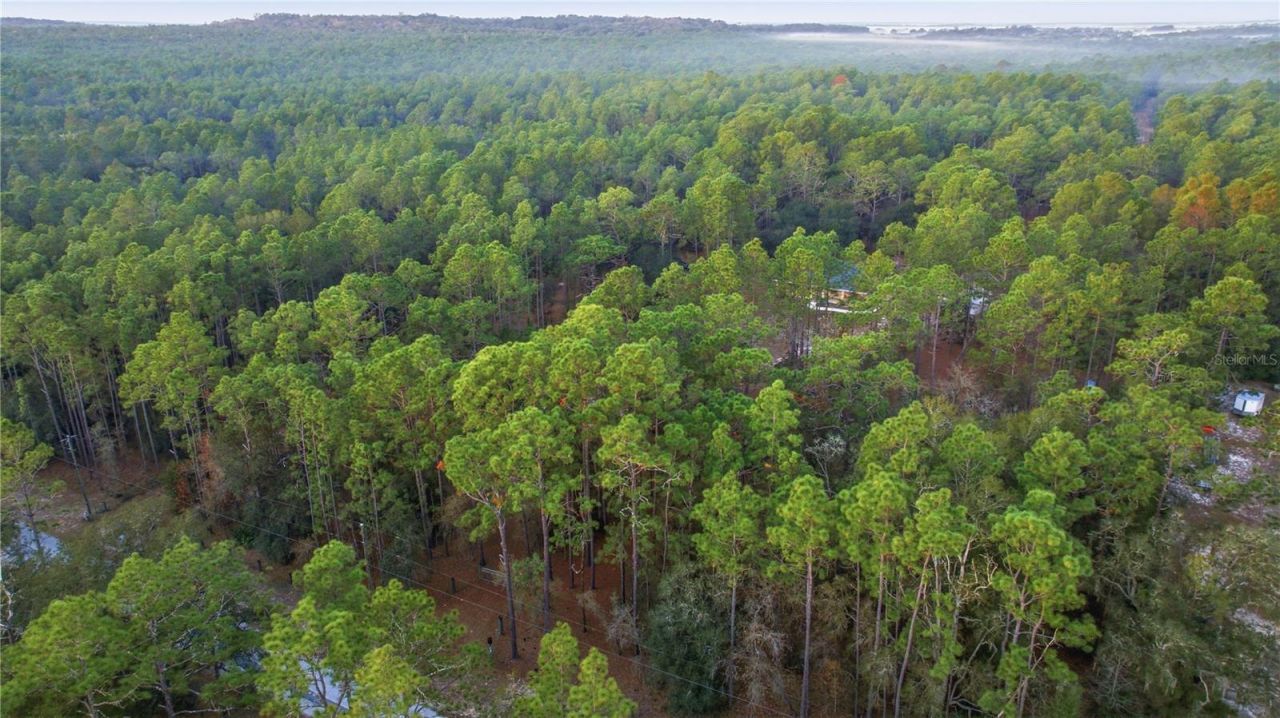 12028 S Pine Oak Terrace, Floral City, FL 34436 Photo