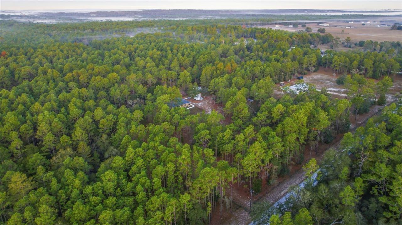 12028 S Pine Oak Terrace, Floral City, FL 34436 Photo