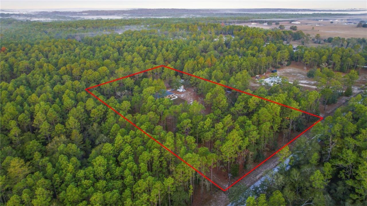 12028 S Pine Oak Terrace, Floral City, FL 34436 Photo