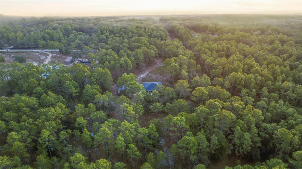 12028 S Pine Oak Terrace, Floral City, FL 34436 Photo