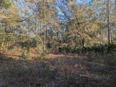 10300 McMahon Ave, St Augustine, FL 32145