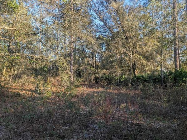 10300 McMahon Ave, St Augustine, FL 32145