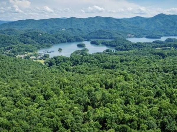 Tbd Black Bear Drive, Butler, TN 37640